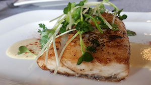 Pan-Seared Atlantic Rockfish